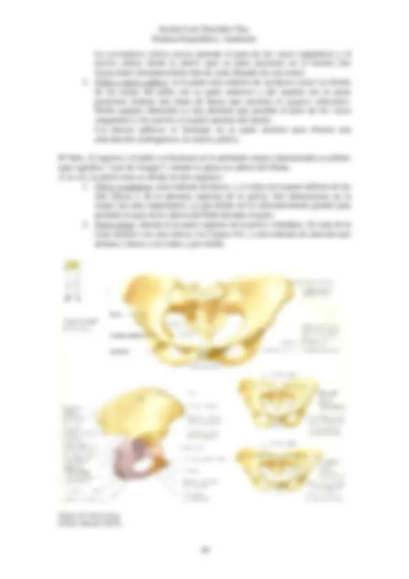 pf27