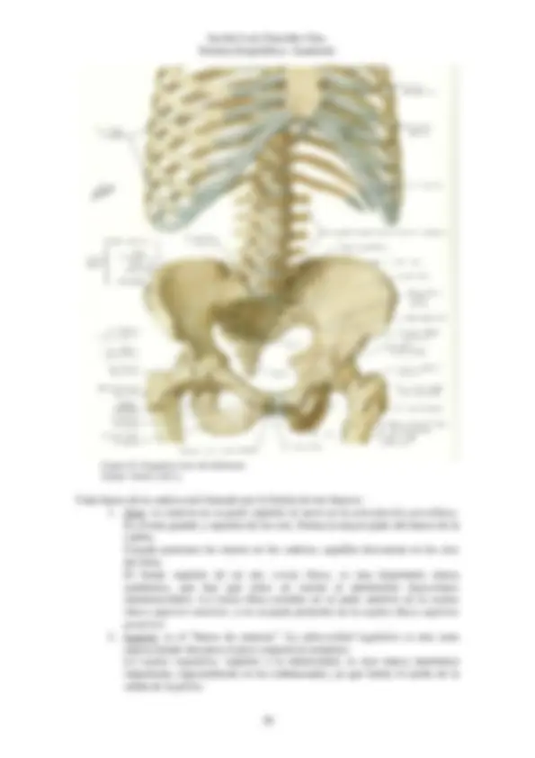 pf26