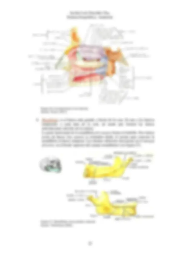 pf16