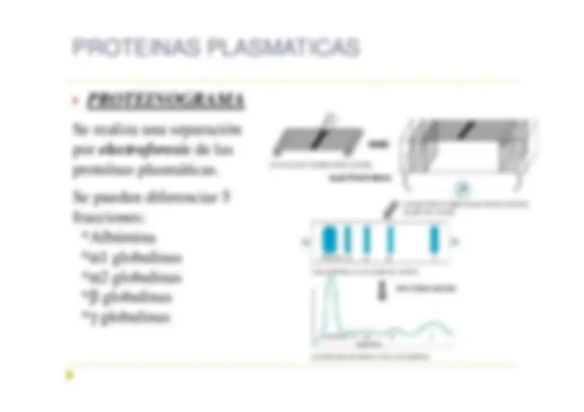 pf14