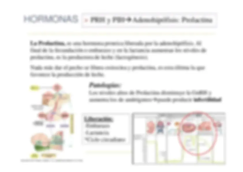 pfa