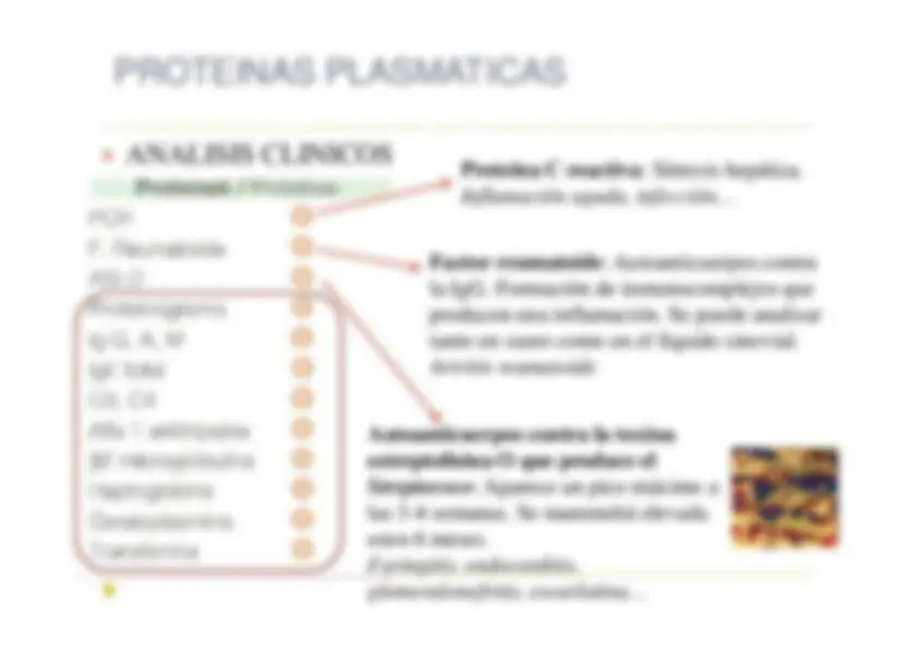pf13