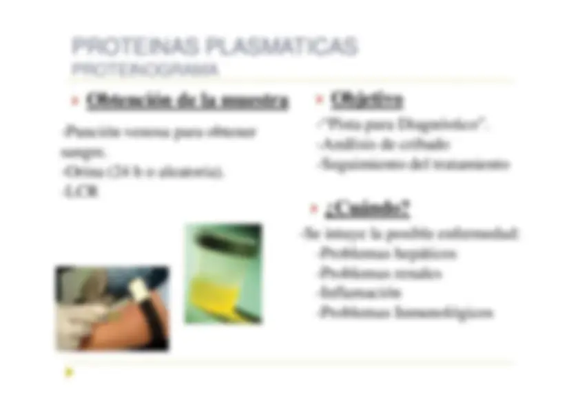 pf12