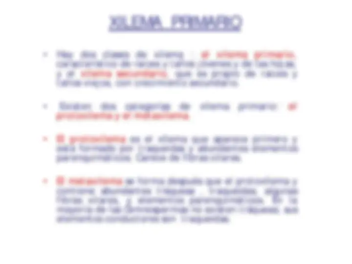 pf30