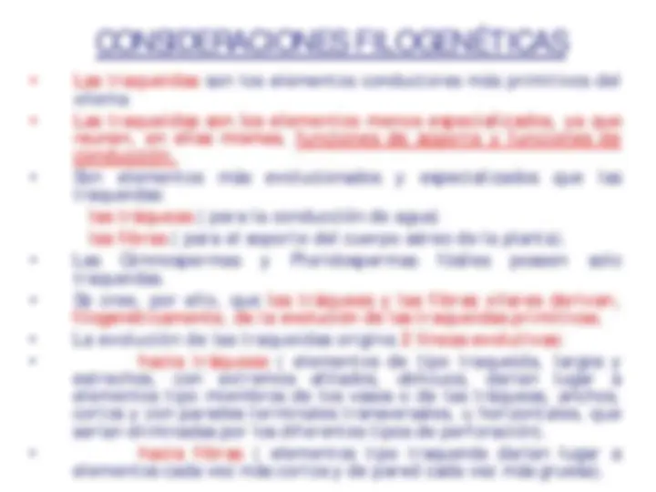 pf21