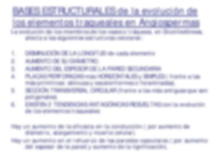 pf23