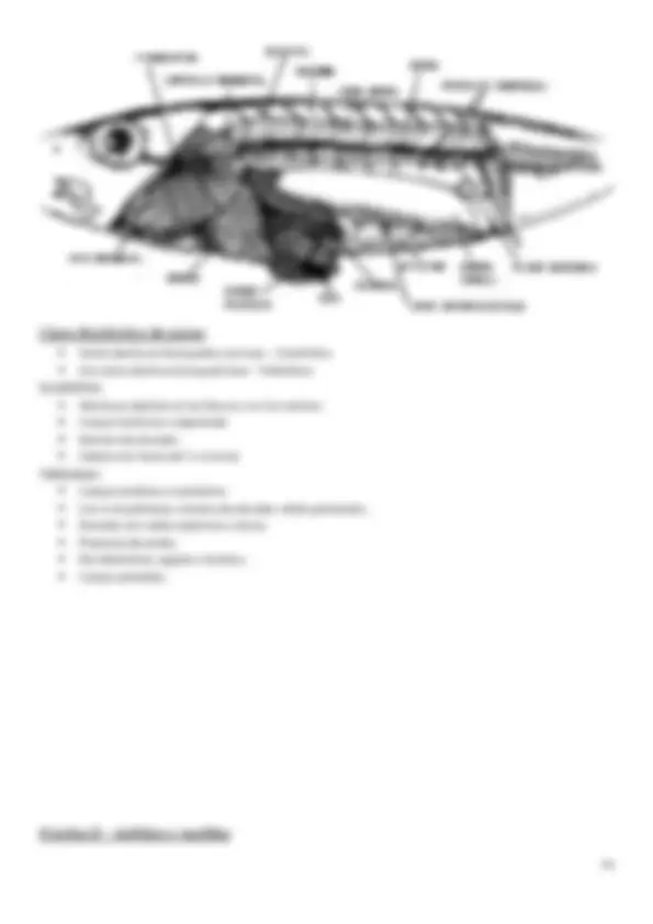 pf1a
