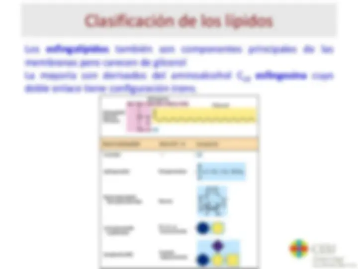 pfd