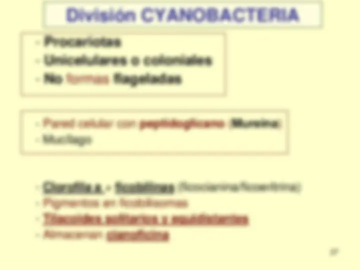 pf1b