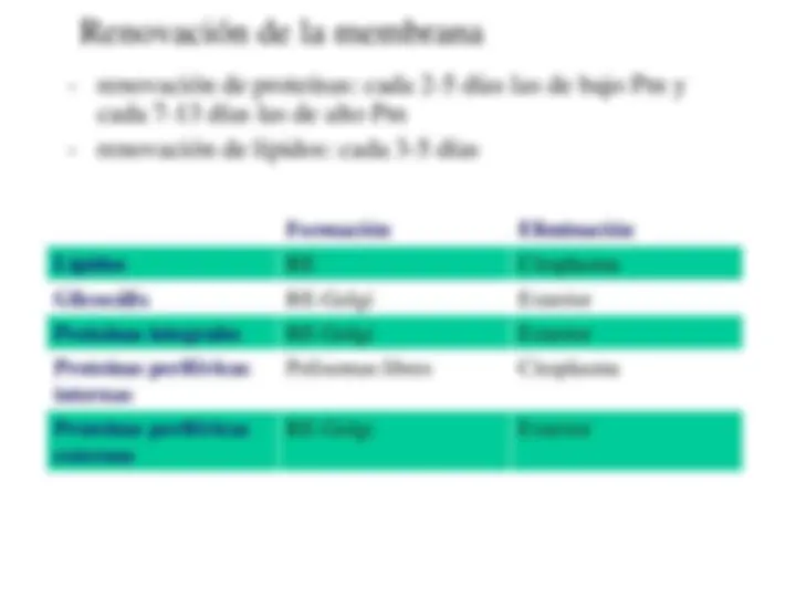 pf3f