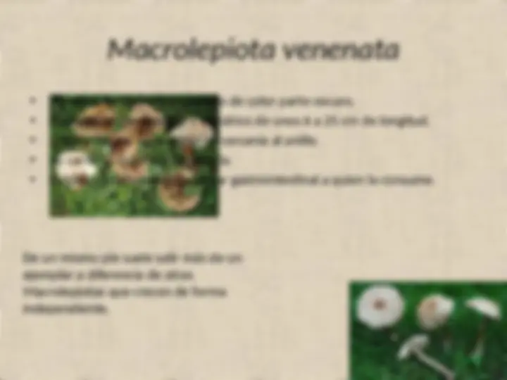 pf1d