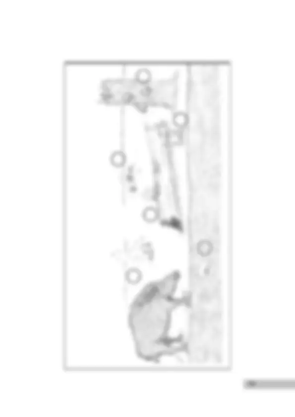 pf4