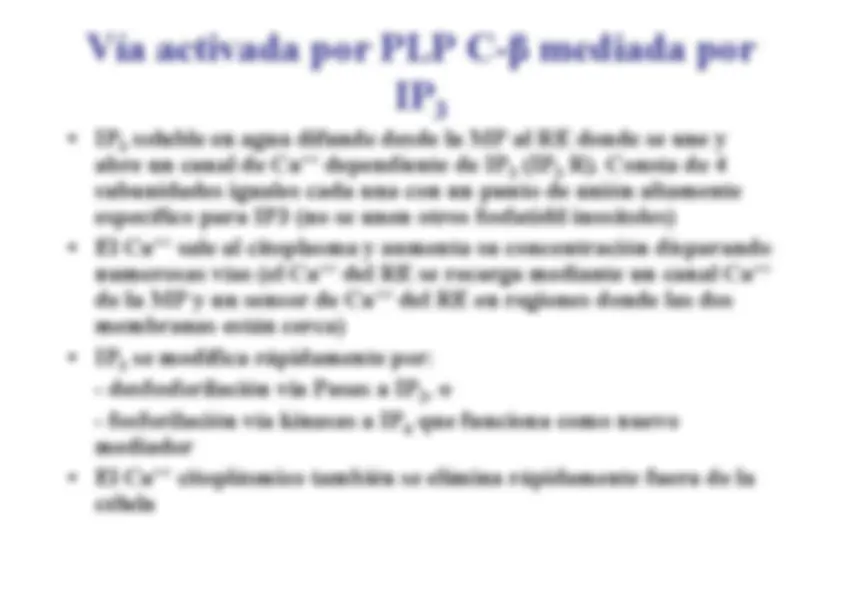 pf23
