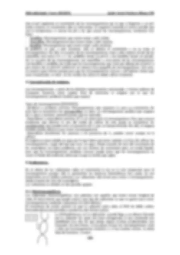 pf23