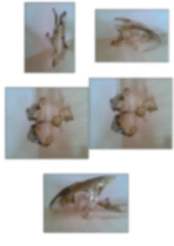 pf2
