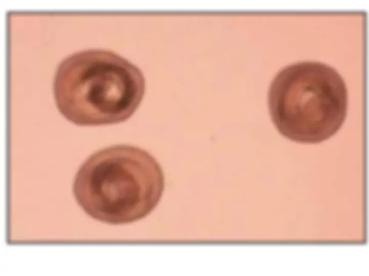 pf1c