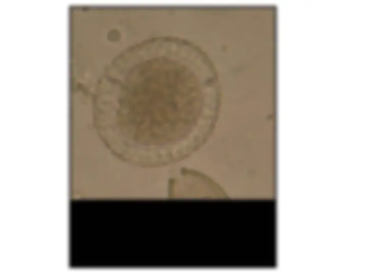 pf1a