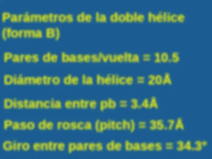 pf24