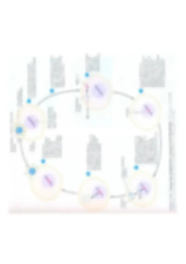 pf14