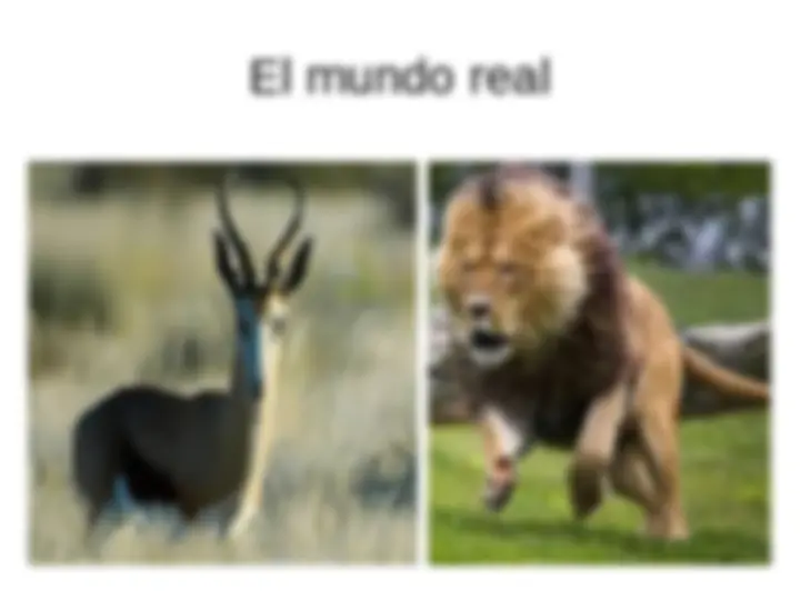 pf4