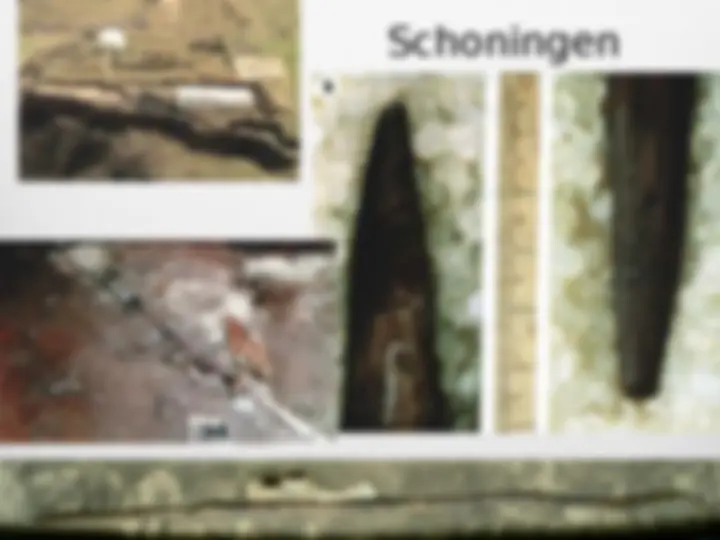 pf8