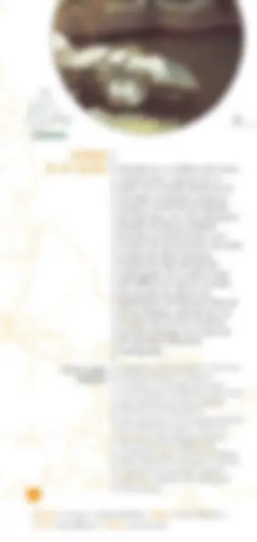 pf24