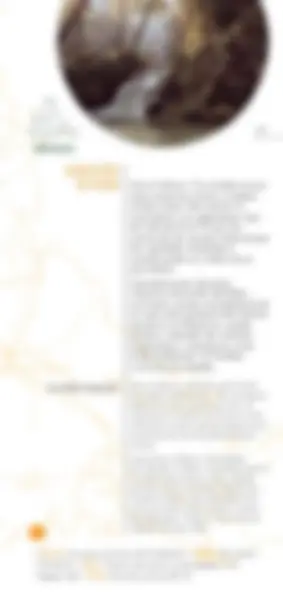 pf4e