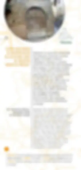 pf5d
