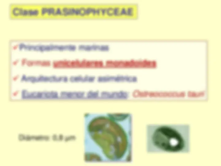 pfa