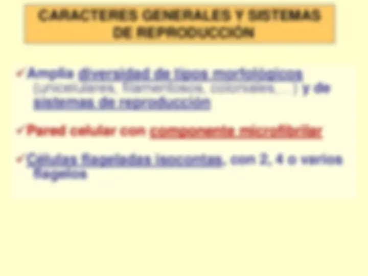 pf4