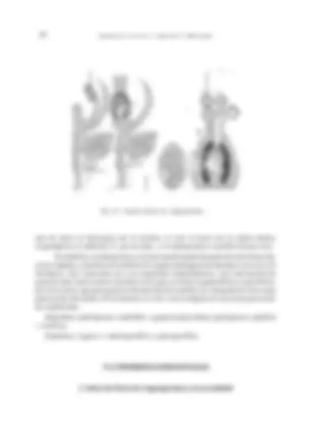 pf40