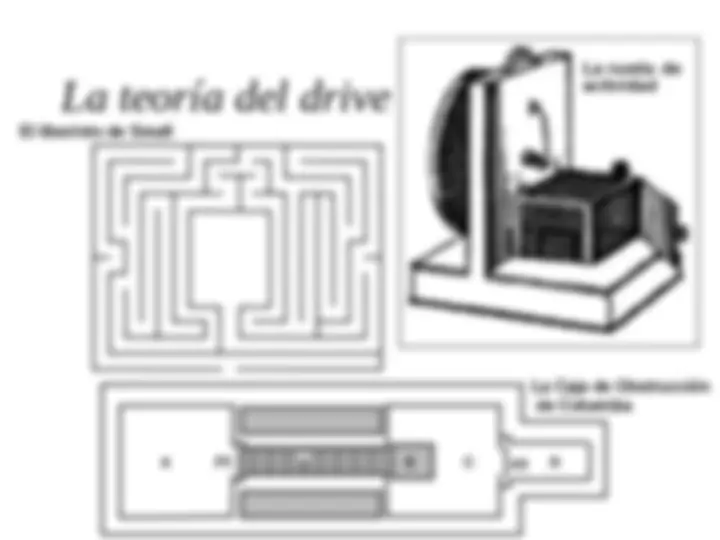 pf5