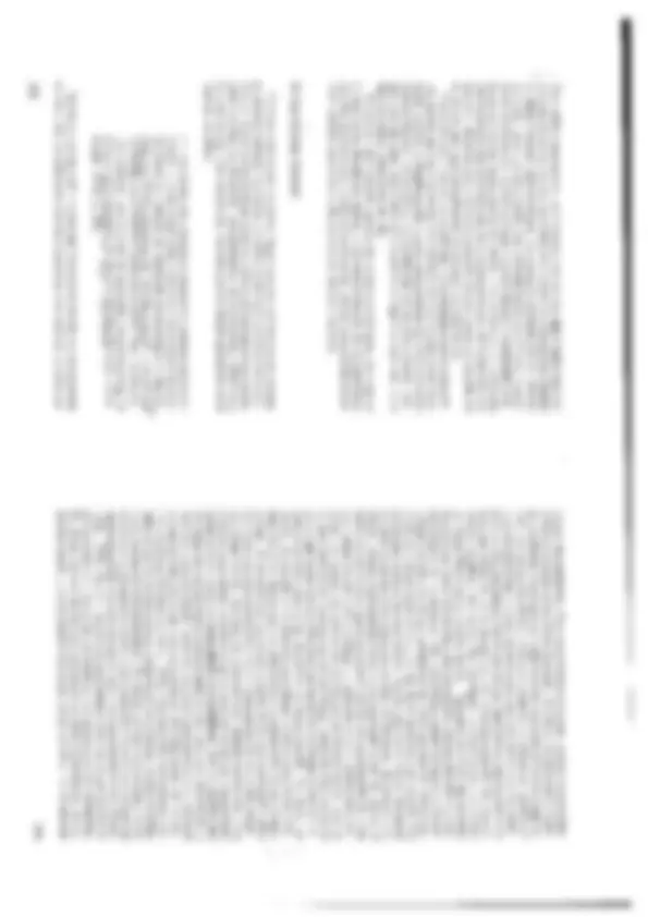 pf21