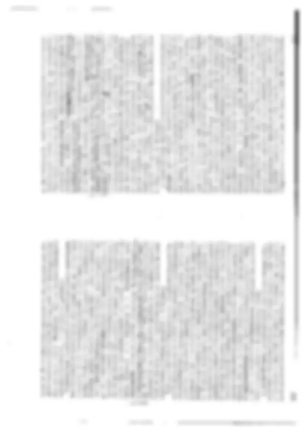 pf16