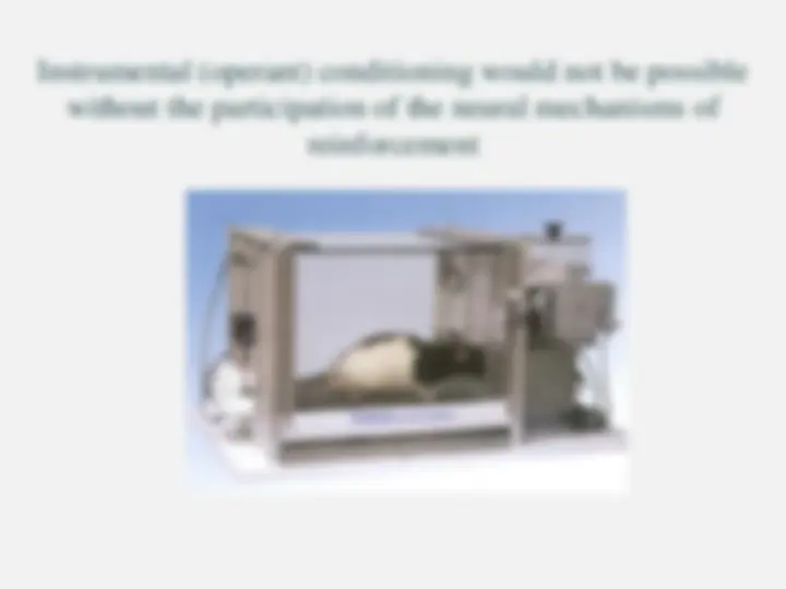 pf23