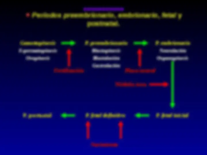 pf3