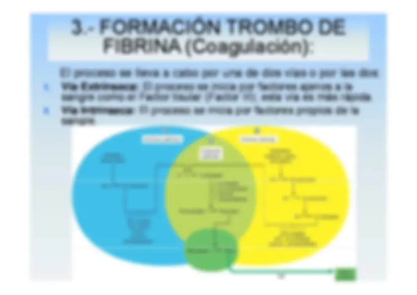pf1f