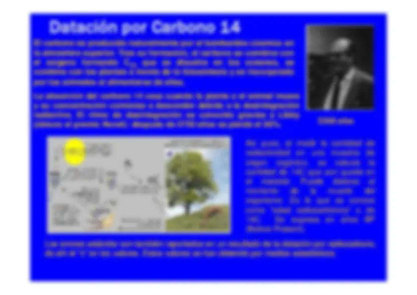 pf33