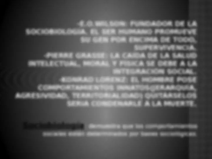 pf13