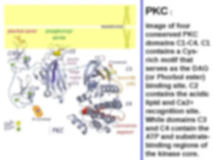 pf3c