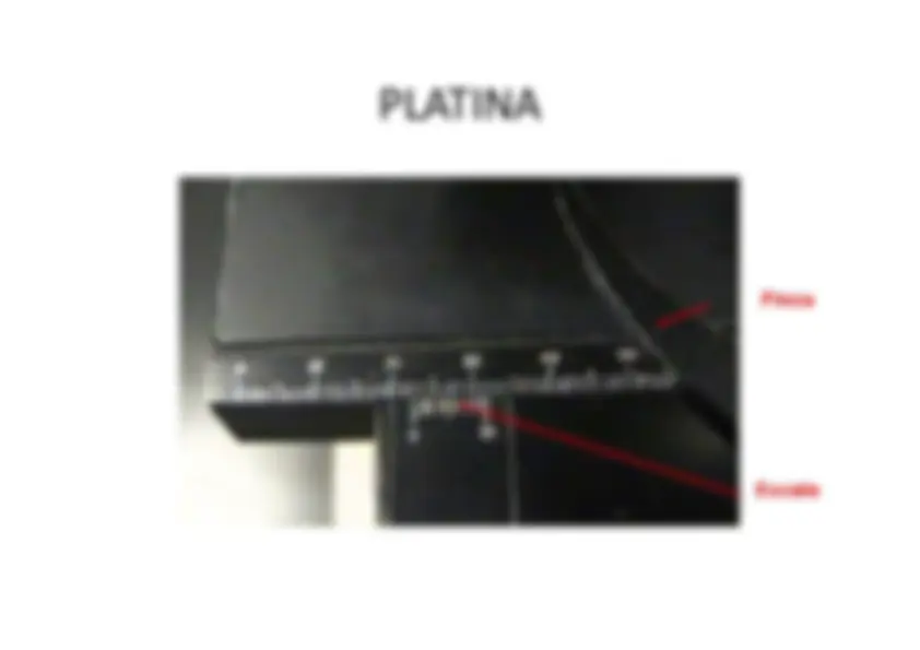 pf1b