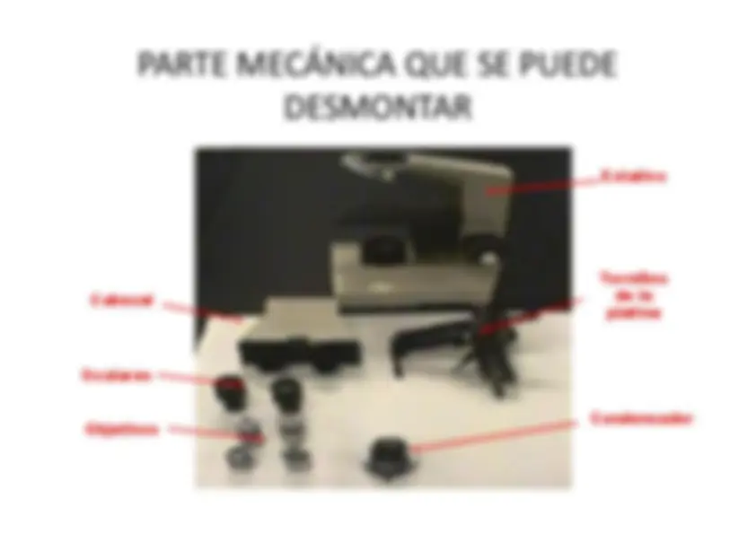 pf17