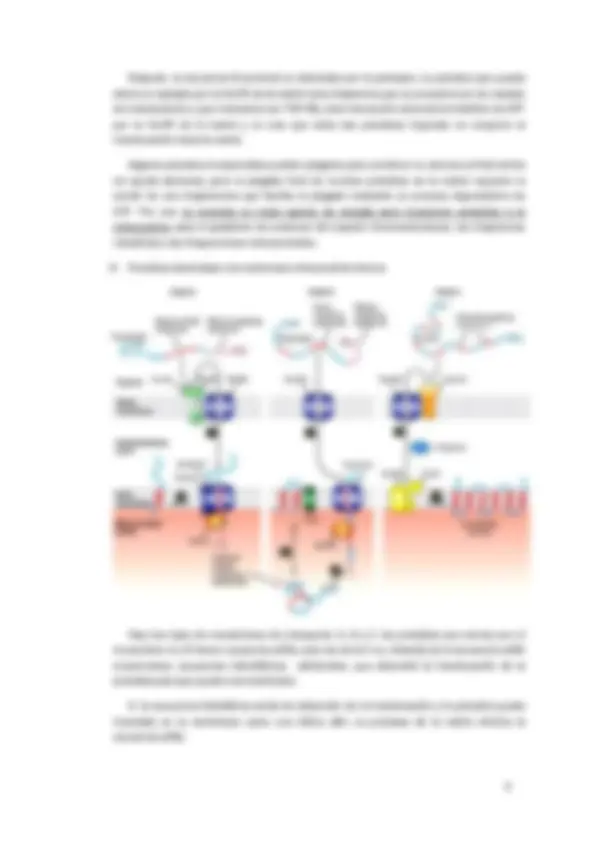 pf8