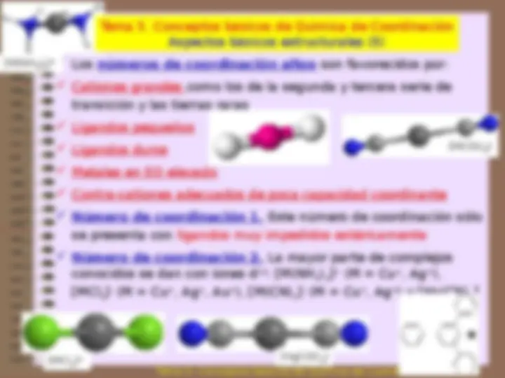 pf19