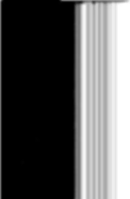 pf31