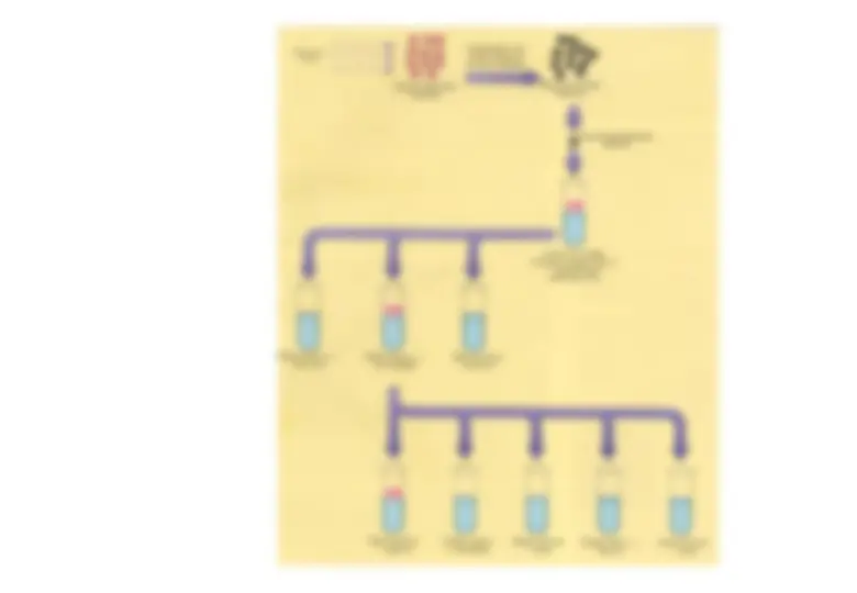 pf5