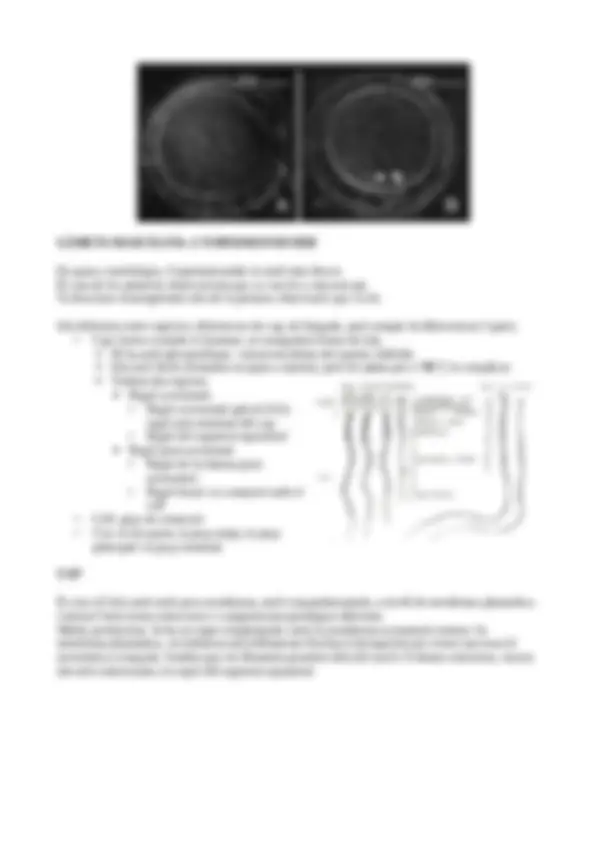 pf5