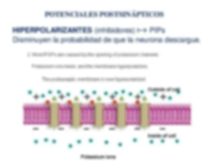 pf1f