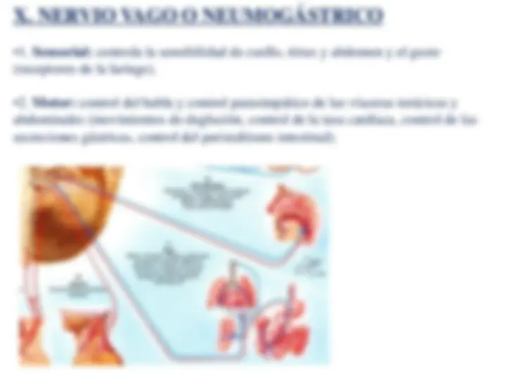 pf4f
