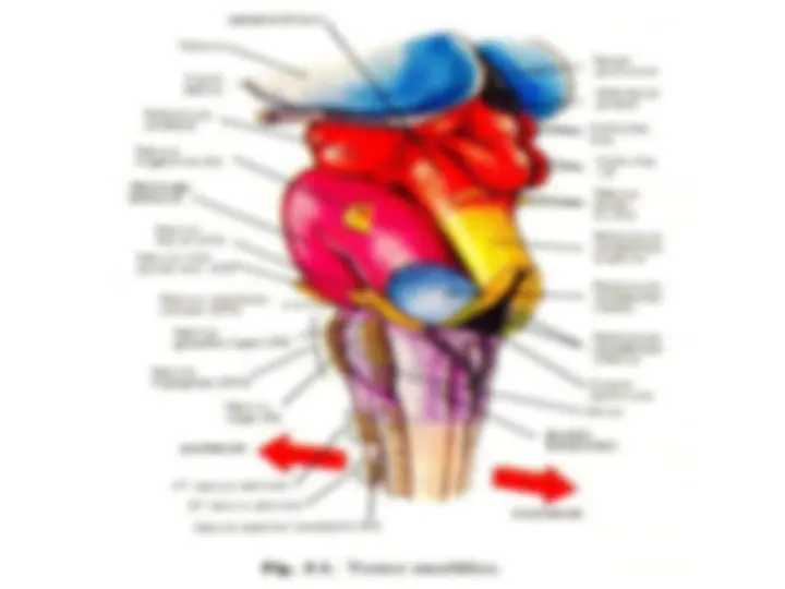 pf43